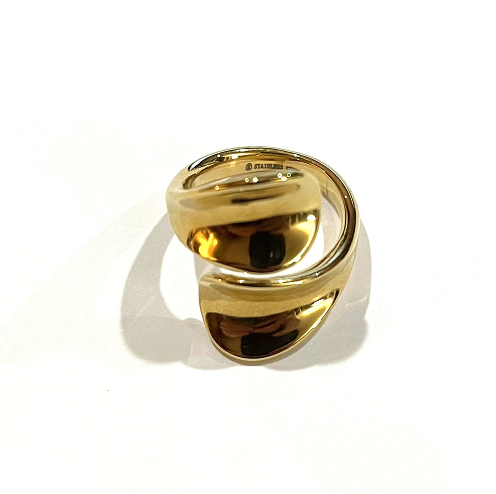 Double Twist Ring