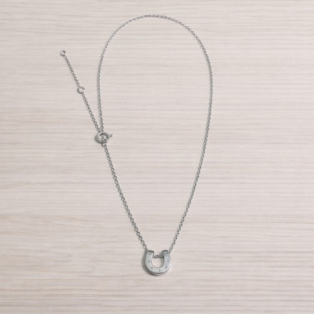 Glide Sliding Horseshoe Necklace