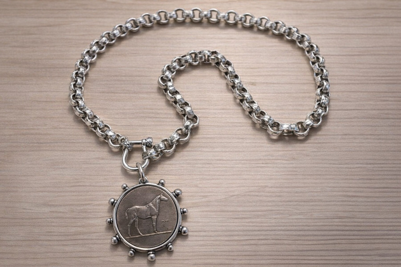 Stainless Steel & Sterling Silver Equestrian Horse Medallion Necklace — Chunky Rolo Chain with Shackle Clasp