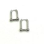 Interchangeable Earrings