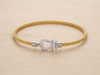 Two Toned Buckle Choker